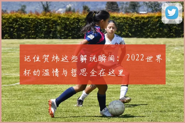 记住贺炜这些解说瞬间:2022世界杯的温情与哲思全在这里