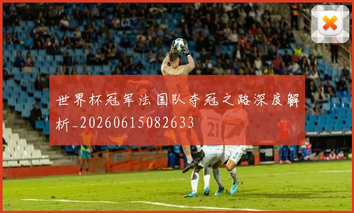 世界杯冠军法国队夺冠之路深度解析_20260615082633