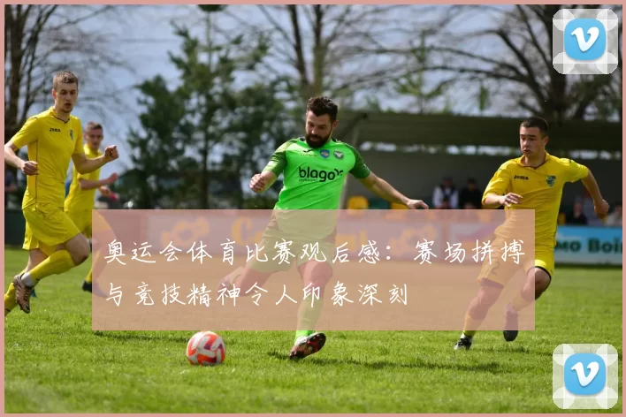 奥运会体育比赛观后感：赛场拼搏与竞技精神令人印象深刻
