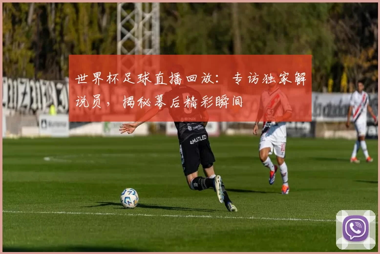 世界杯足球直播回放：专访独家解说员，揭秘幕后精彩瞬间
