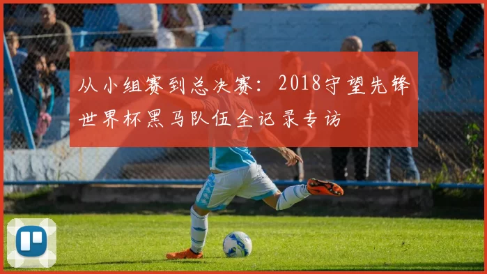 从小组赛到总决赛：2018守望先锋世界杯黑马队伍全记录专访