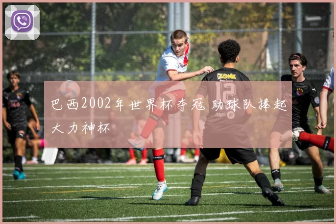 巴西2002年世界杯夺冠 助球队捧起大力神杯