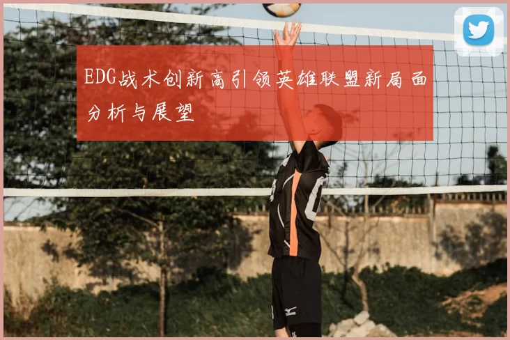 EDG战术创新高引领英雄联盟新局面分析与展望
