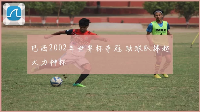 巴西2002年世界杯夺冠 助球队捧起大力神杯