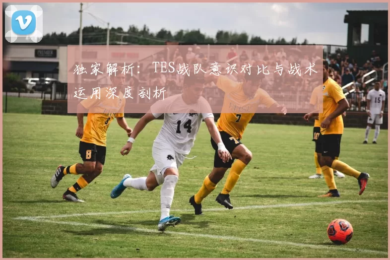 独家解析:TES战队意识对比与战术运用深度剖析
