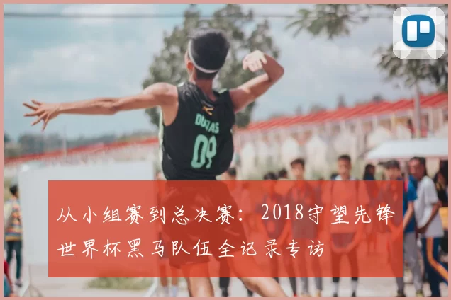 从小组赛到总决赛：2018守望先锋世界杯黑马队伍全记录专访