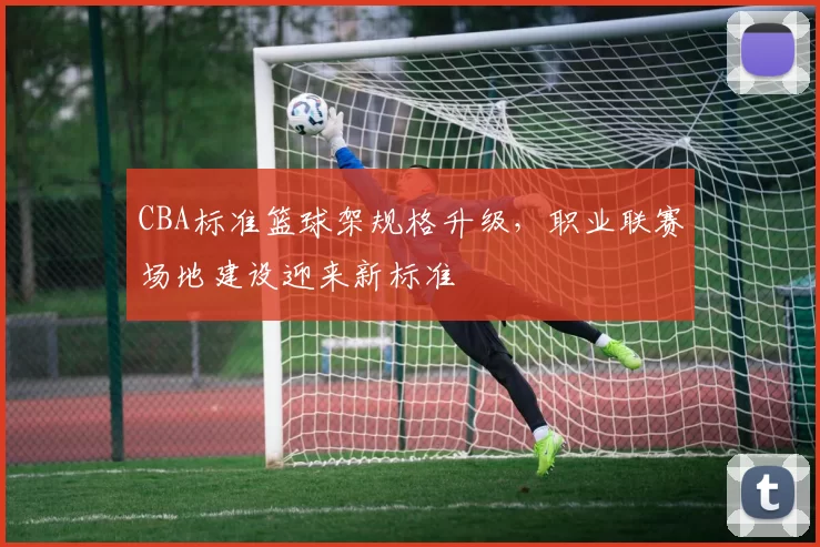 CBA标准篮球架规格升级，职业联赛场地建设迎来新标准