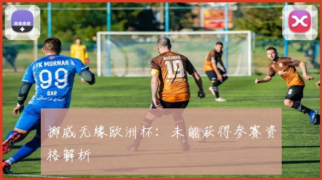 挪威无缘欧洲杯：未能获得参赛资格解析