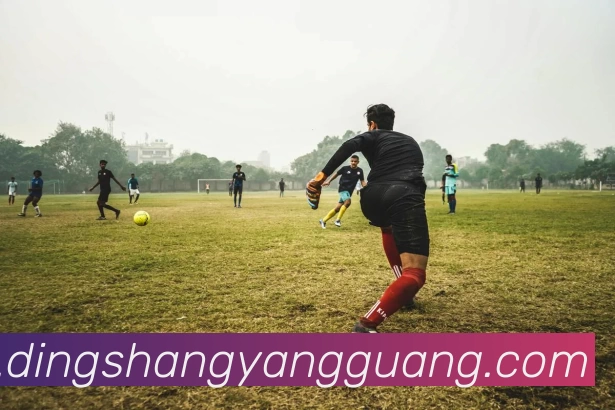 爱游戏体育平台生态图