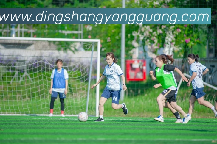 爱游戏体育APP 封面图