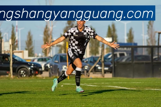 数据防护可视化